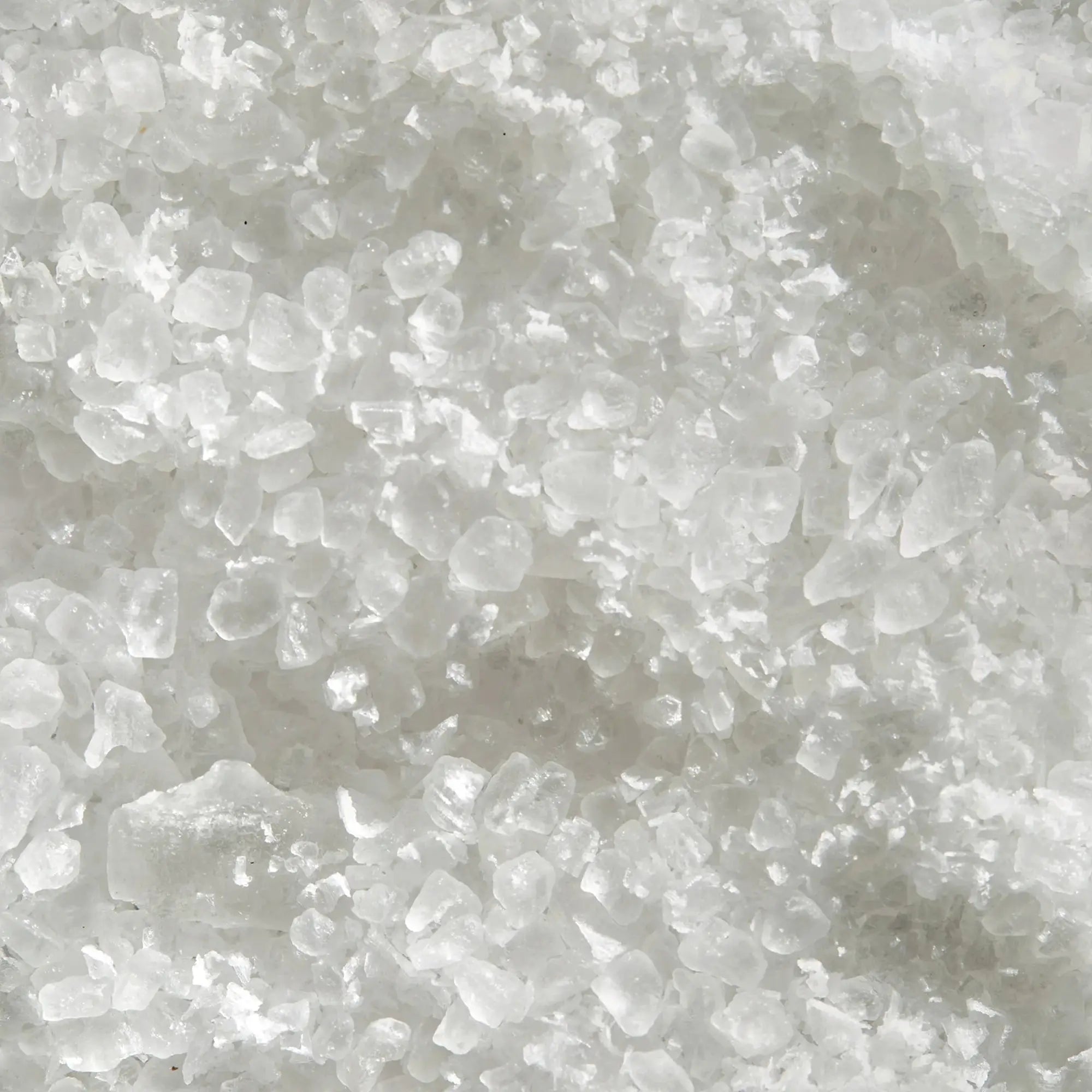 Baja Coarse Salt | Chef Collection