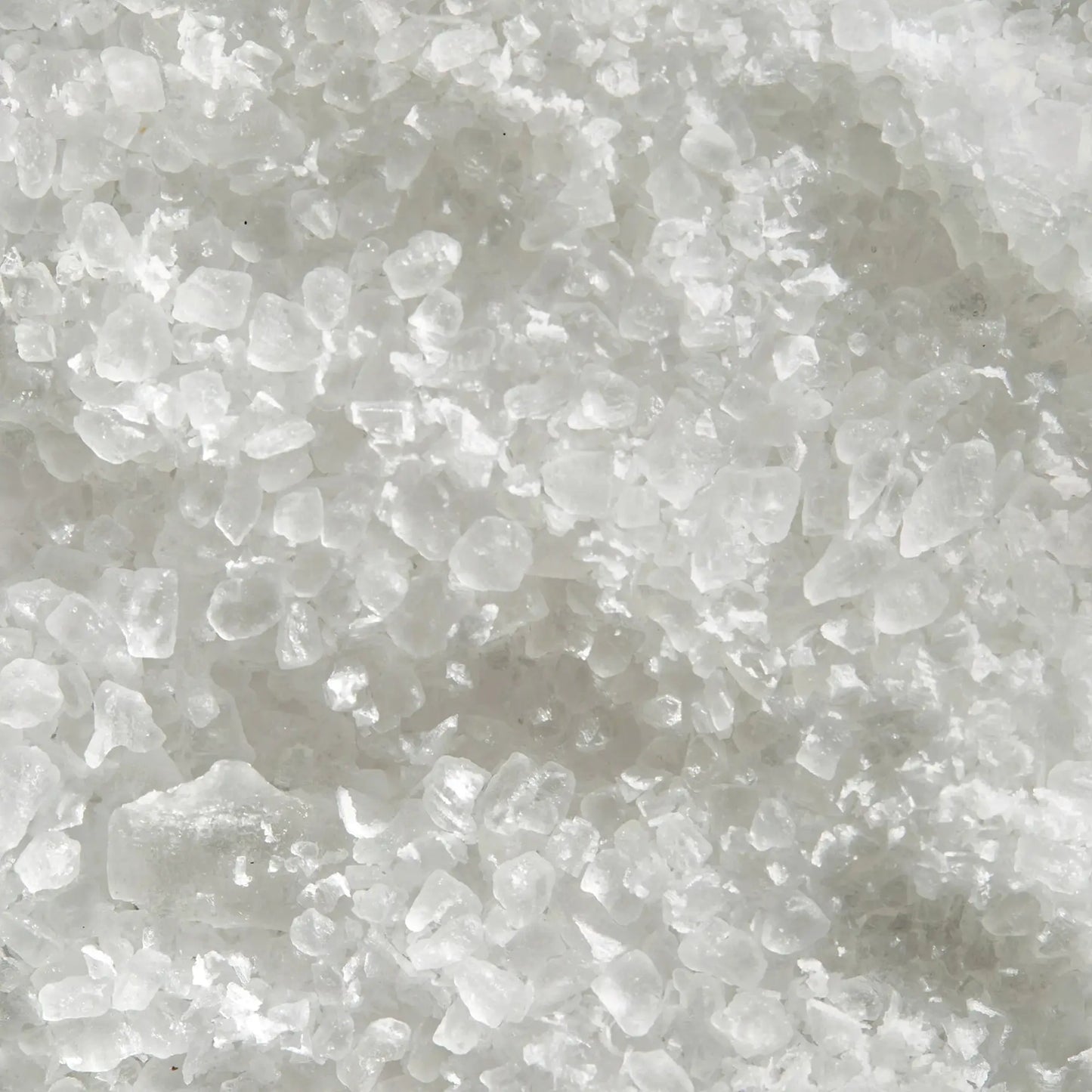 Baja Coarse Salt | Chef Collection