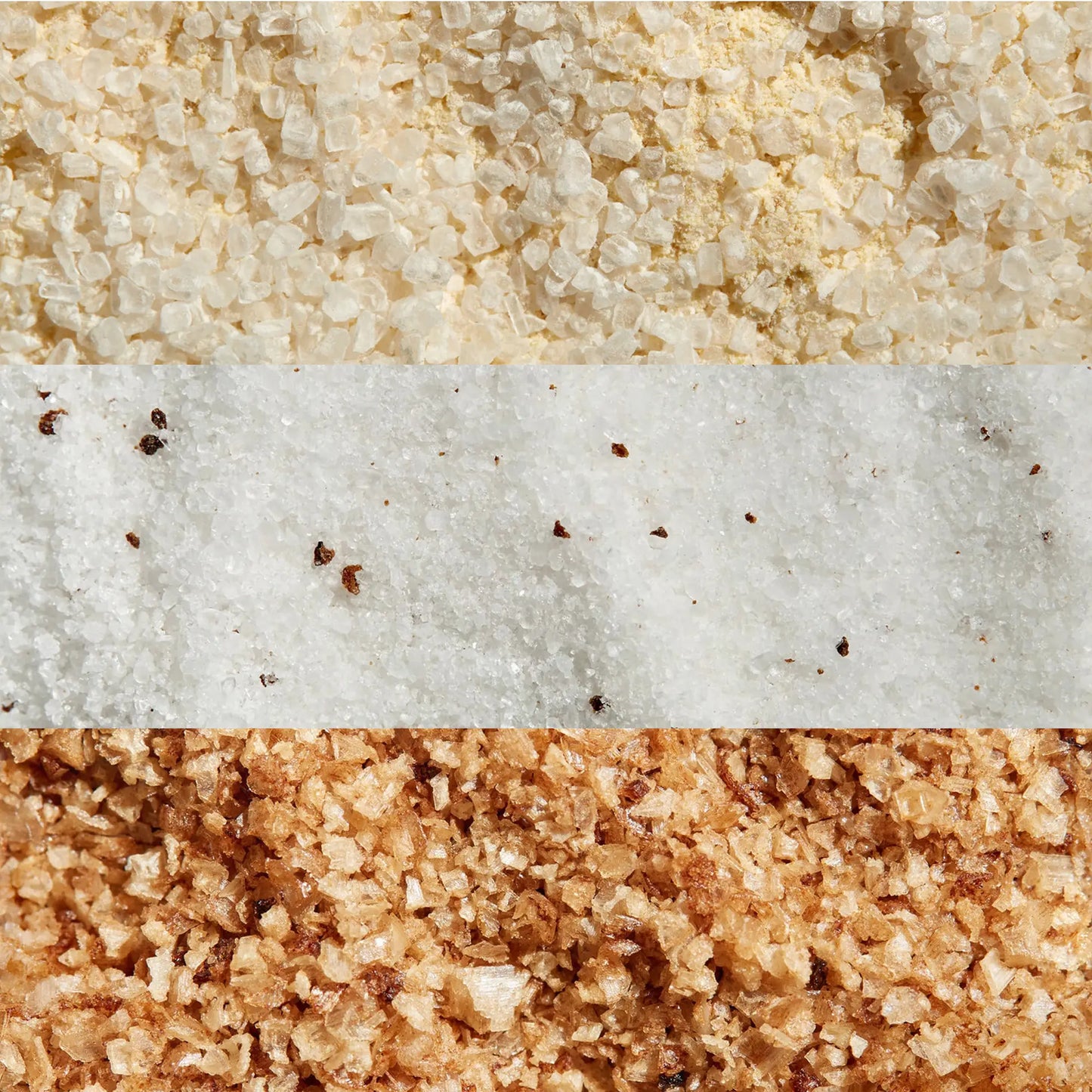 Bold and Beyond Bundle