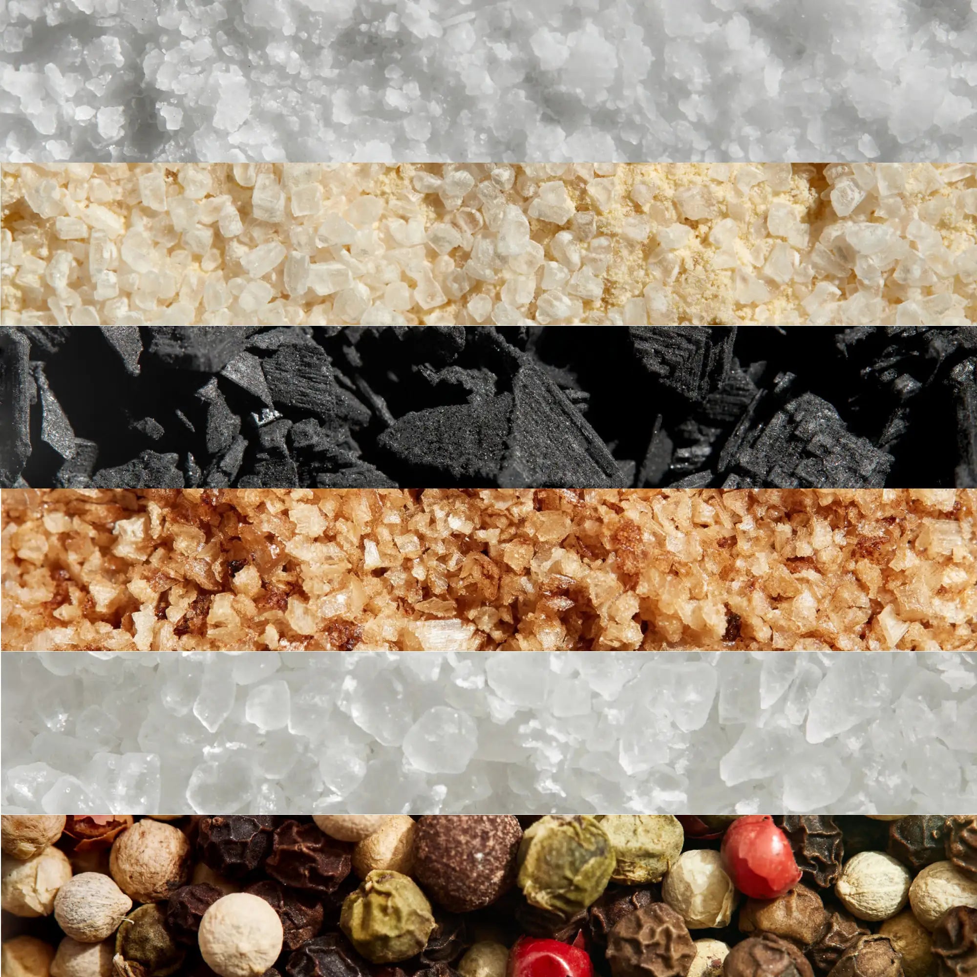 Full Experience Bundle