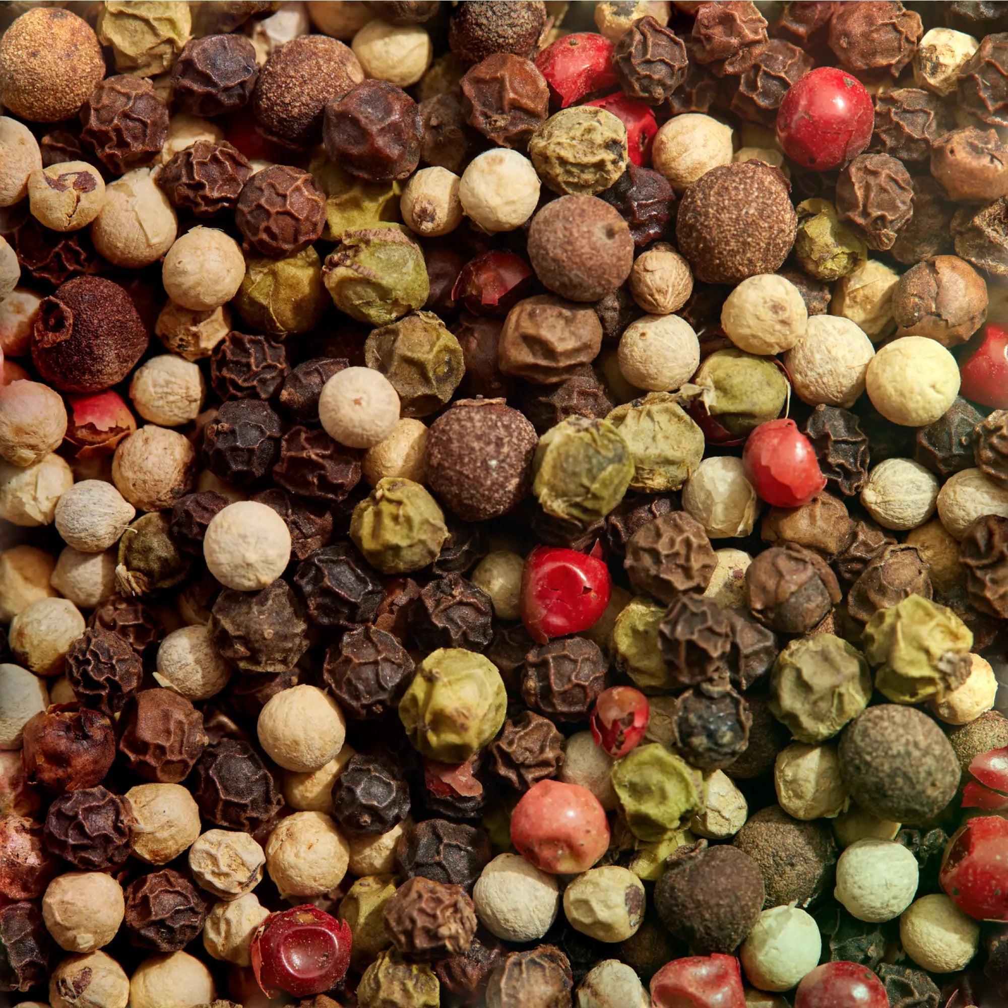 5-Peppercorn Blend | Chef Collection